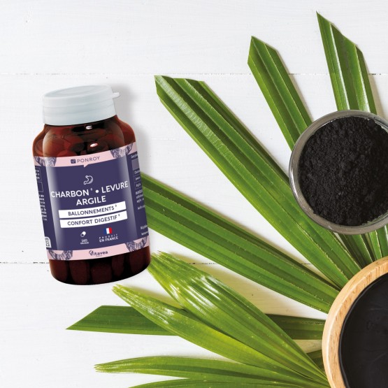 Charbon Levure Argile